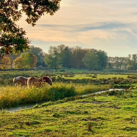 Ferienwohnungen Klein Kapelle Gingst Экстерьер фото