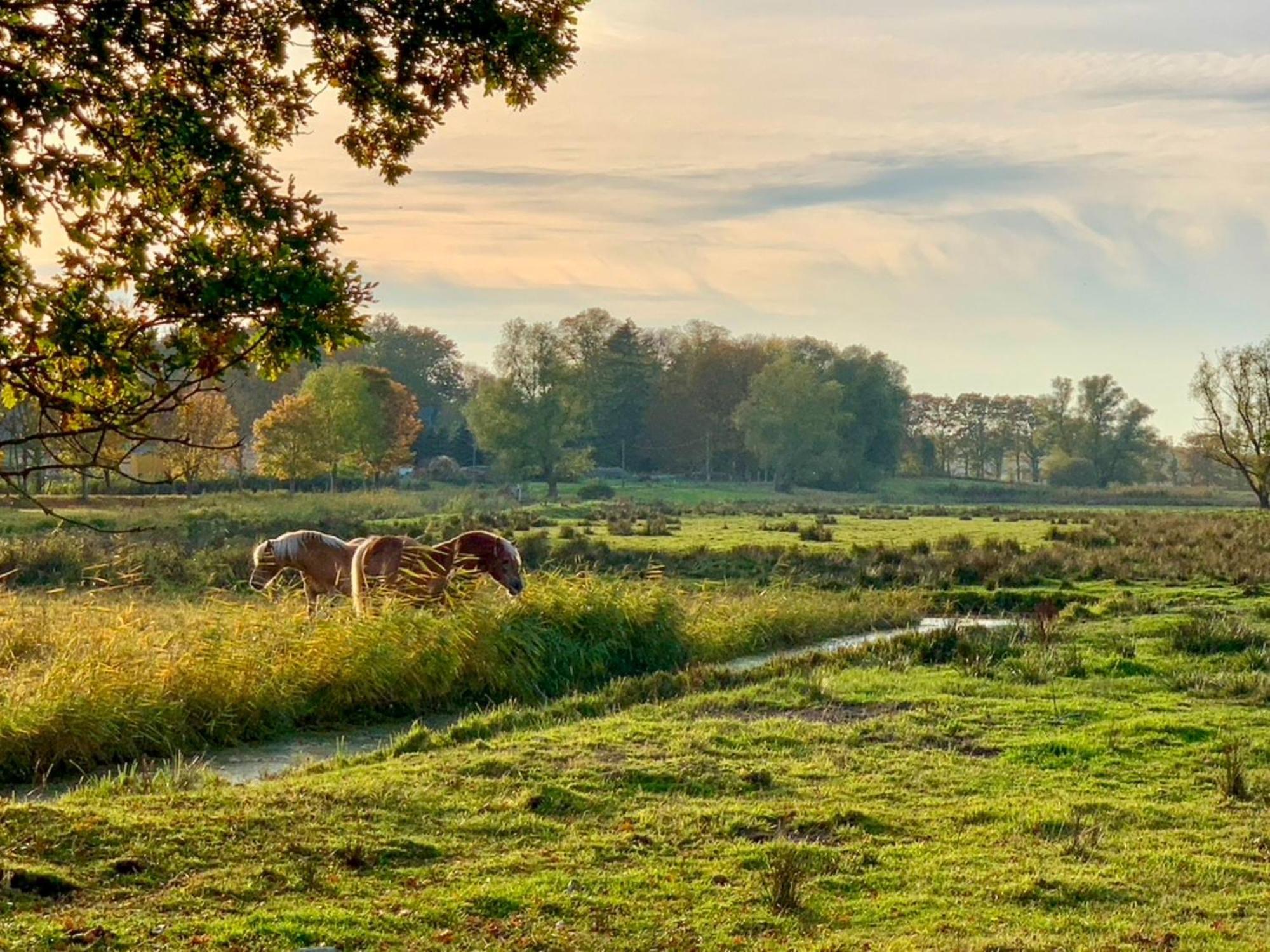 Ferienwohnungen Klein Kapelle Gingst Экстерьер фото